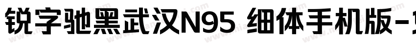 锐字驰黑武汉N95 细体手机版字体转换